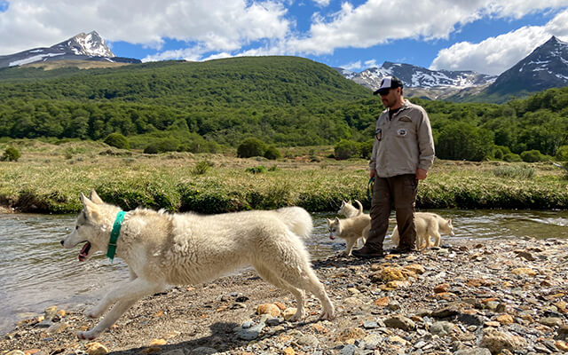 trekking con perros siberianos en ushuaia